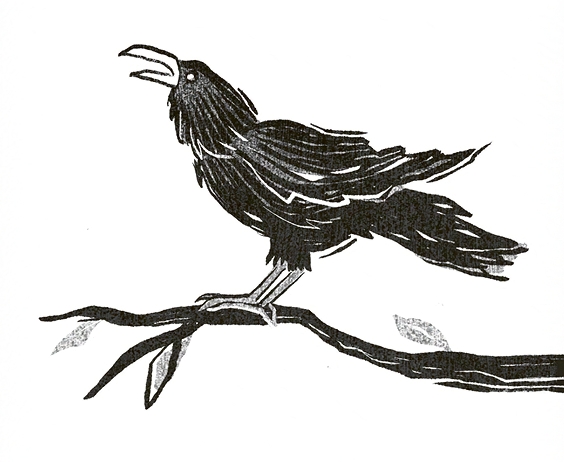 Tiril en de toverdrank - door Bette Westera - illustraties door Pyhai - Kinderboekenweekgeschenk 2021