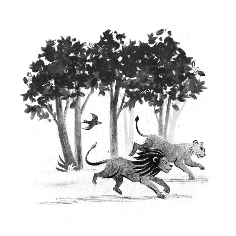Pyhai_Atalante_1 Illustration by Pyhai for Atalante, published by Uitgeverij Moon.
