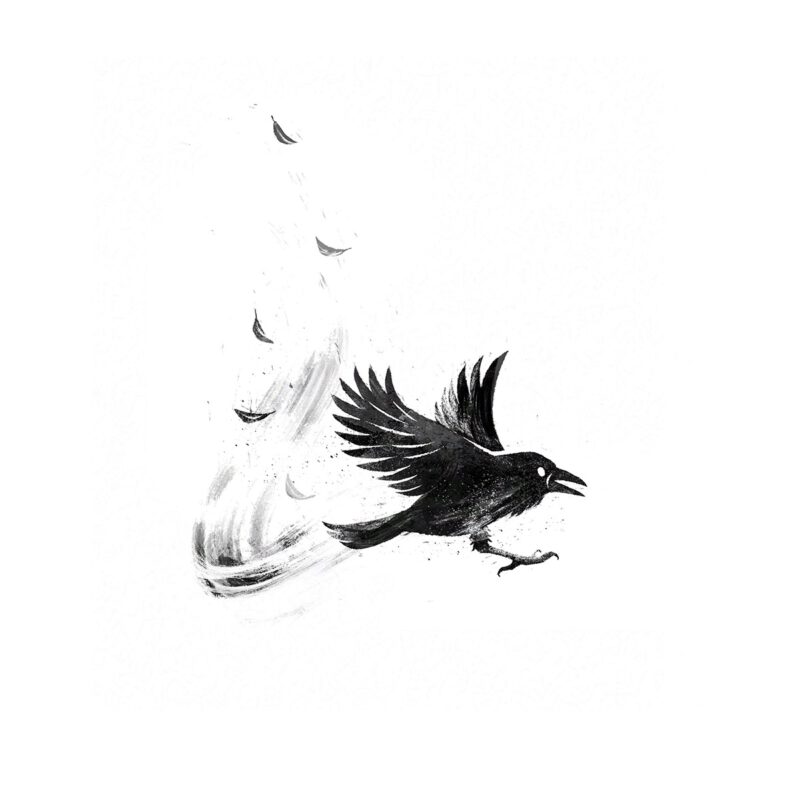 Pyhai_Atalante_2 Illustration by Pyhai for Atalante, published by Uitgeverij Moon.