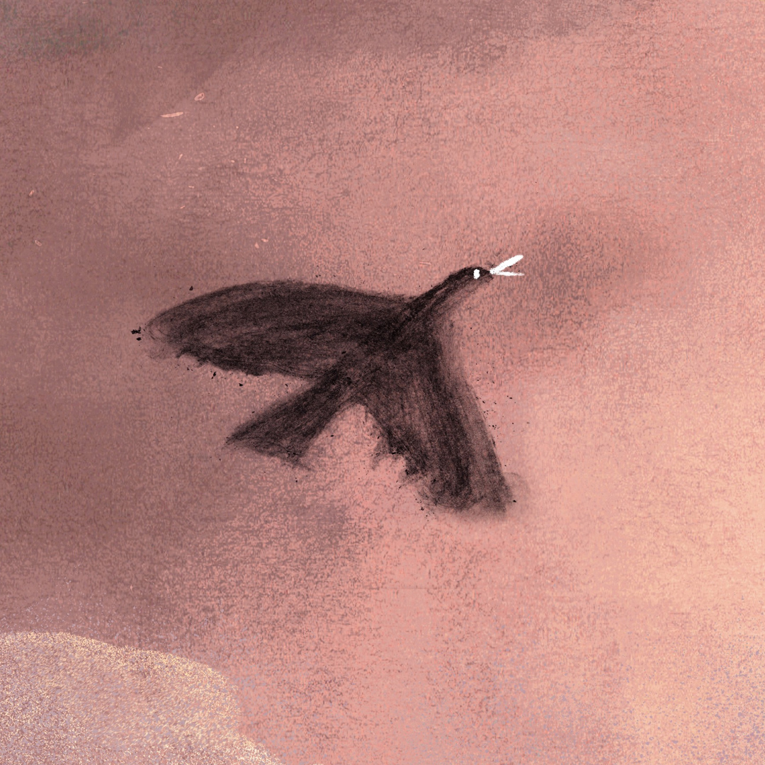 Bird – Illustration by Pyhai